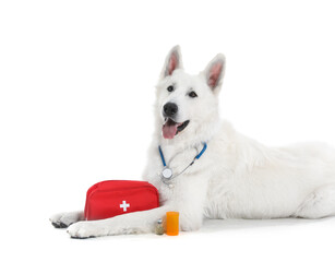 Wall Mural - Cute Shepherd dog with first aid kit on white background