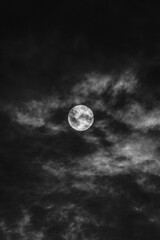 Wall Mural - vertical shot of moon in a cloudy sky