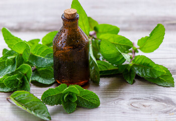 Wall Mural - The mint extract in a small jar.