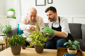 Wall Mural - Caucasian man doing gardening and relaxing with his old elderly father