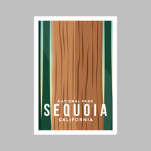 Sequoia National Park Poster  Illustration.