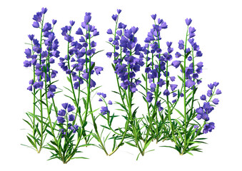 Wall Mural - 3D Rendering Canterbury Bells on White