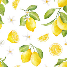 Watercolor Seamless Pattern With Lemons And Flowers Isolated On White Background.