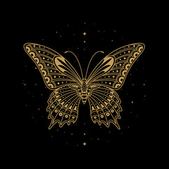 Wall Mural - Butterfly Vector Illustration