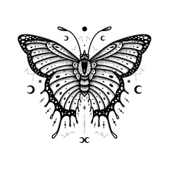Wall Mural - Butterfly Vector Illustration