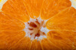 © David Gonzalez - close up of orange slice