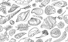 Isolated Black Line Contour Seashells And Plants Seamless Pattern Hand Drawn Ocean Shell Or Conch Mollusk Scallop Sea Underwater Animal Fossil Nautical And Aquarium, Marine Theme. Vector Illustration