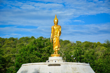 Wall Mural - buddha