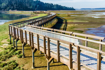 Wall Mural - Washington Wetlands Boardwalk Illustration