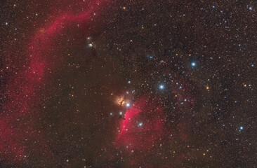 Wall Mural - Orion's Belt - Nov 1, 2019 - Poland