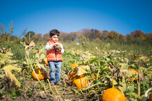 Young Boy In Orange Vest Walking In Pumpkin Patch In Fall.