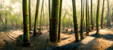 Bamboo Forest Background Illustration - Digital Art, 3D Render, Concept Art
