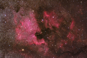 Wall Mural - North America Nebula and Pelican nebula - Poland 2020