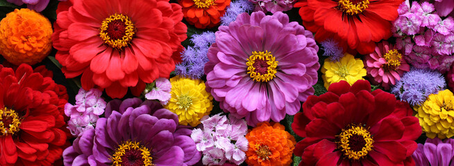  Colorful floral banner. Bouquet close-up, top view. Background, texture of garden flowers.