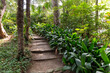 Percorso pedonale con gradini nel giardino verde