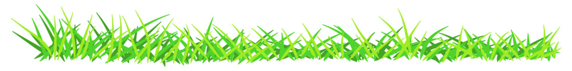 illustration of green grass