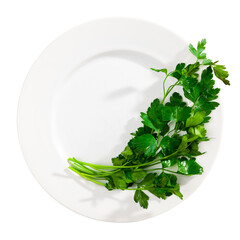 Wall Mural - Parsley sprigs on white plate. Decorative herb for main dish, preparing food concept. Isolated over white background