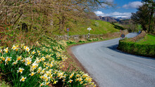 The Road To Conistion, Lake District National Park