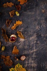 Wall Mural - Autumn background with dry leaves.