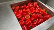 Red bell peppers soaked in water, washed and cleaned