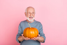 Photo Of Cool Aged White Hairdo Man Hold Pumpkin Look Ad Wear Eyewear Blue Pullover Isolated On Pink Color Background