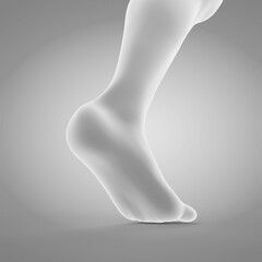 Poster - 3d rendered medically accurate illustration of a walking foot