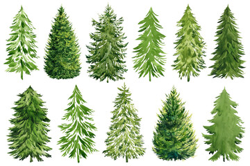 collection watercolor christmas trees, modern design. for printed materials - flyers, poster, greeti