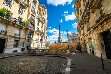 Wall Mural - Scenic view of Paris architecture in autumn season with Eiffel Tower in the background