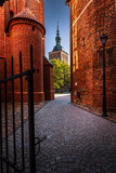 Fototapeta Kwiaty - Radziejowski Tower located on the Cathedral Hill in Frombork - the city of Nicolaus Copernicus