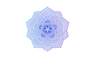 Wall Mural - Gradient color mandala on white isolated background, Mandala with floral patterns. Ornaments