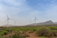 Landscape With Desert Plants And Four Big Windmills 