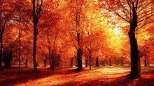 Illustration Of Golden Autumn Forest With Sunlgiht