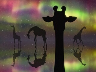 Sticker - Giraffe family. Funny animal head silhouette. Colorful polar lights