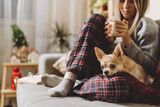 Fototapeta Psy - Cozy woman in knitted winter warm socks and sweater with sleeping dog and checkered plaid holding a cup of hot cocoa or coffee, during resting on couch at home in Christmas holidays. Winter drinks.