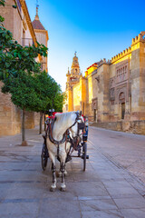 Wall Mural - The Great Mosque (Mezquita Cathedral) in the city of Cordoba, Andalusia, Spain.