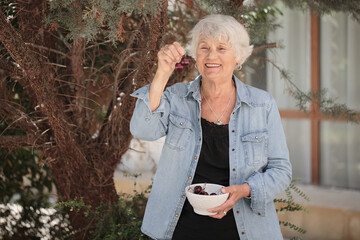 Wall Mural - Elderly woman holding a bowl of ripe cherries and eating sweet berries