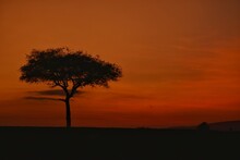 Red African Sunset Free Stock Photo - Public Domain Pictures