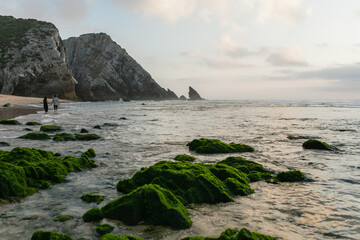 back view of couple walking on beach with green mossy stones in ocean on foreground.