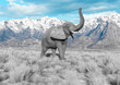 african elephant is doing a happy walk in plains and mountains