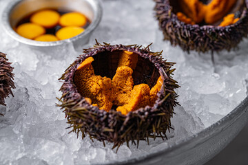 Canvas Print - a dish of sea urchins on ice