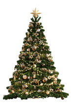 Golden Christmas Tree Isolated On Transparent
