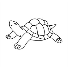 Cute Cute Vector Turtle In Doodle Style