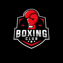 Boxing Vector Graphic Template. Sport Boxer Illustration In Badge Style.
