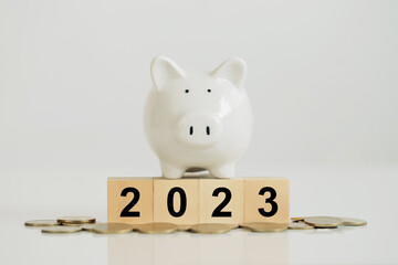 Wall Mural - White piggy bank on a wooden block with the numbers 2023 Put on coins idea for starting the new year and saving money. Budget, tax, investment, financial, savings, and New Year Resolution concepts