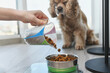 © o_lypa - A girl measures a portion of dry dog food using an electronic scale.