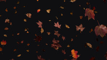 Autumn Themed Wallpaper, With Leaves Against Black Color. Holiday Banner With Copy-space.