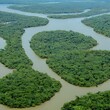 amazon river 3d illustration with beautiful scenery