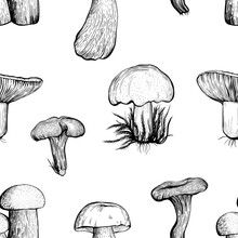 Seamless Pattern With Forest Assorted Mushrooms On A White Background. Hand Drawn Vector Illustration