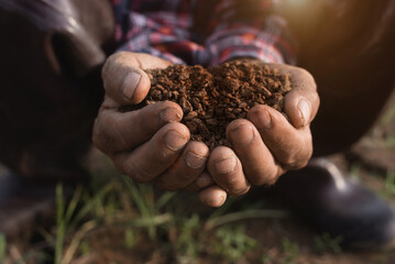 Soil in the hands of farmers. Concept of agriculture.