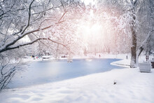 Beautiful Natural Landscape Of A Snowy City Park With Snow-covered Trees And Frozen Pond On Bright Winter Day.